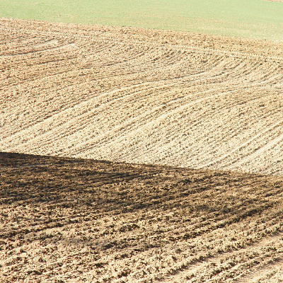 Field 2, par Xavier E. G. Dierick